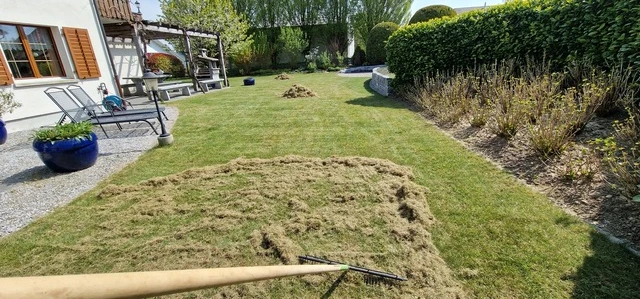 Brauner Rasen - Impressionen unserer Arbeit