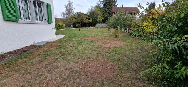 Brauner Rasen - Impressionen unserer Arbeit